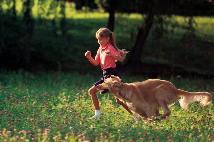 belterra austin texas real estate